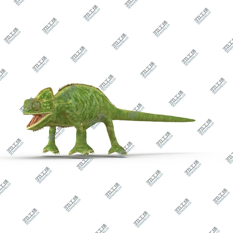images/goods_img/2021040162/Chameleon Rigged for Maya/2.jpg